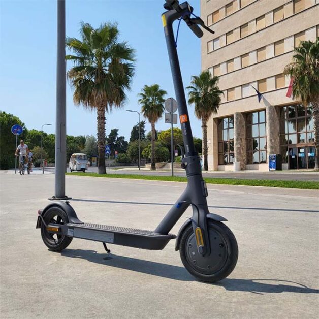 Xiaomi Electric Scooter 3 under the palm tree.