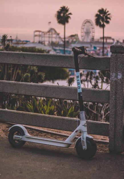 Bird electric scooter