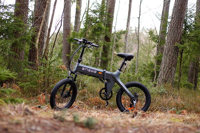 Engwe c20 e-bike in the woods