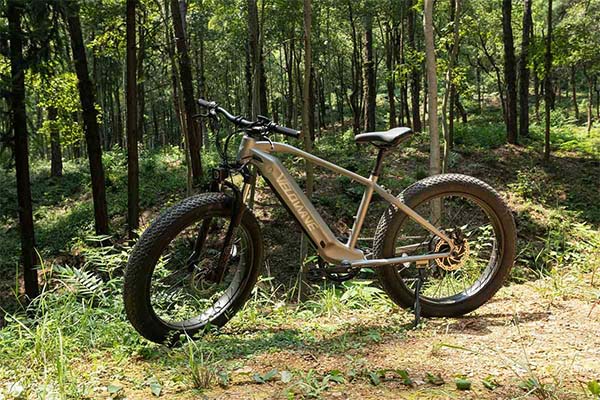 gray velowave e-bike in the forest