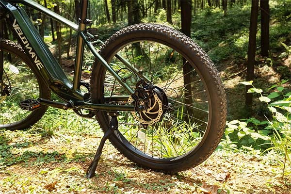 Green Velowave e-bike in the forest