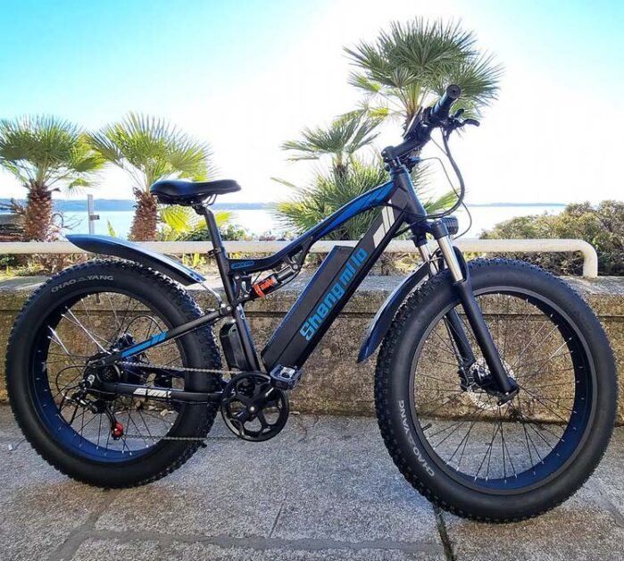 shengmilo electric bike under the palm trees