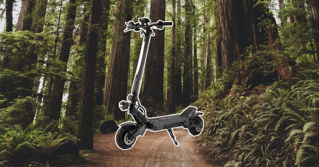 nanrobot n6 in the forest