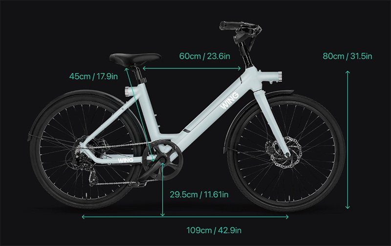 wing freedom sizing and dimensions