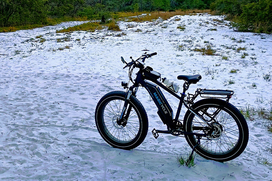 magicycle cruiser standing on the snow