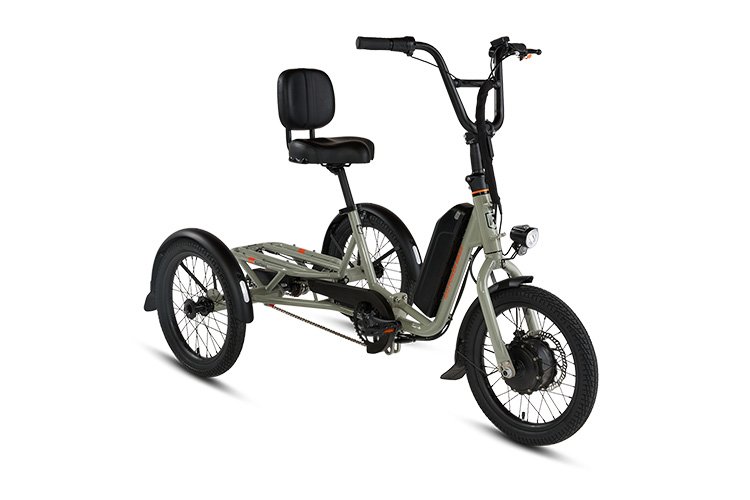 radtrike 3-wheel ebike