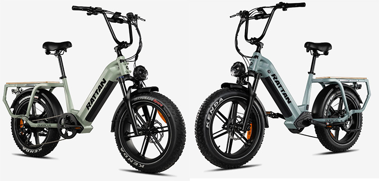2 rattan utility electric bikes