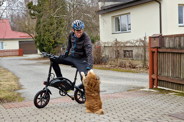 even my dog wanted to try this mini electric bike